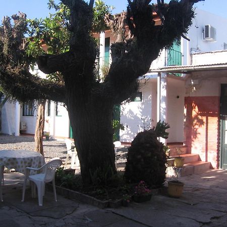 קולוניה דל סקרמנטו Hostel El Espanol מראה חיצוני תמונה